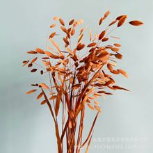 ���ӹ����ơ���������ɫС�βݸɻ��滨�L��ݼҾ������b�С����