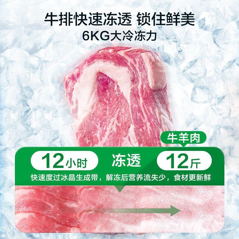 【囤货无忧】容声100升冰柜家用商用卧式小型冷柜能效变温柜其他