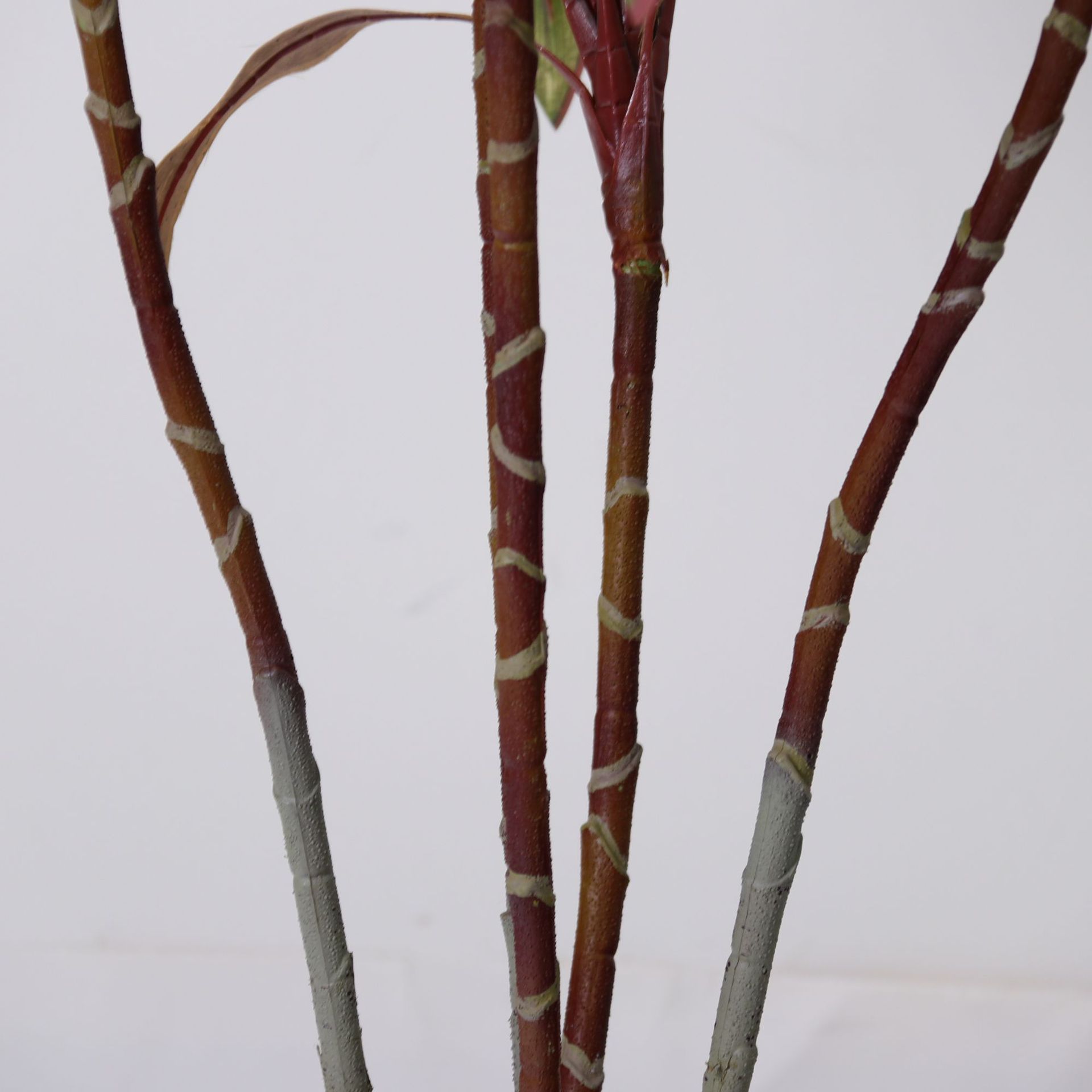 Simulación avanzada de plantación de vegetación y paisajismo Simulación de Zhujiao Árbol falso en maceta Sala de estar interior Decoración del suelo Decoración Planta biónica