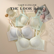 蕾丝内衣女小胸聚拢无钢圈性感文胸显大胸罩收副乳防下垂批发