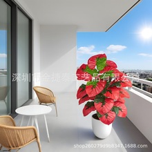 ����Gֲ���Ե�ˮ�^��������������҃���٘�[�O�bҾ��辰