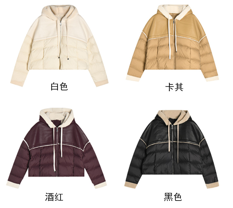 未标题-1.jpg