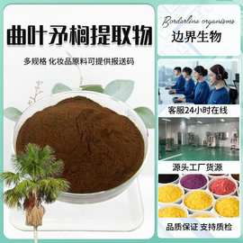 曲叶矛榈提取物 30:1曲叶矛榈粉可水溶赤湖果提取物1kg起现货批发