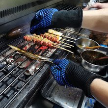 ��������500���͸ߜغ決���z�Ӻ�΢���tBBQ����羳�������C����