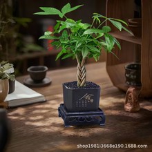 �lؔ��С�����҃ȿ͏d�k������ ֲ��Gֲ��U�p��С�� �帣���辰