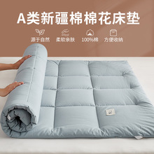 a类水洗棉榻榻米床垫家用卧室双人折叠棉花软垫学生宿舍单人床褥