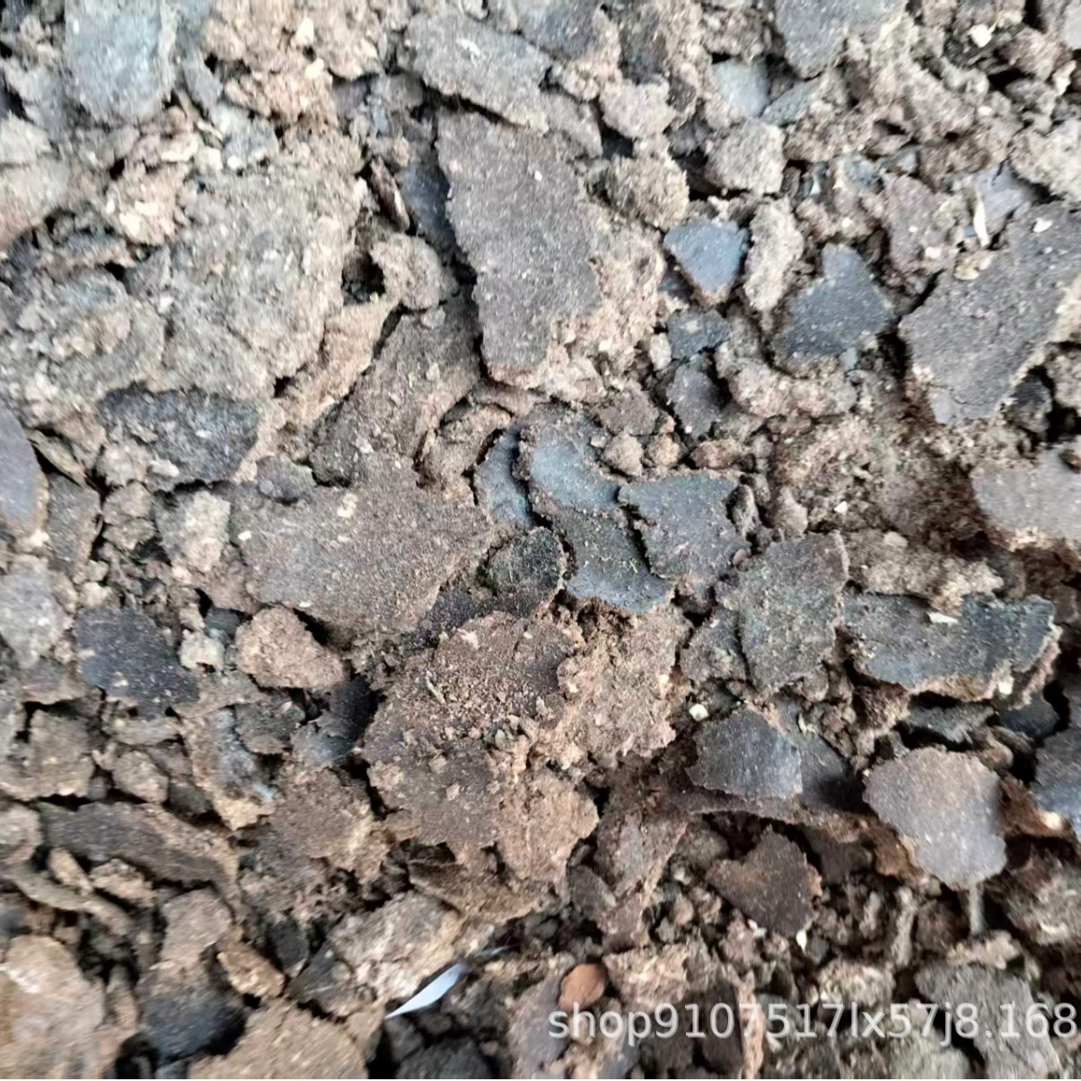 供应菜籽饼肥料二级菜籽饼  种梨树枣树种姜种葱种蒜