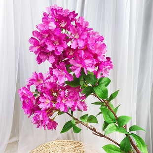 ��֧��ޱ���ٻ����ϻ��҃���ݘ����bٻ�����ܛ�b�ٻ�֦