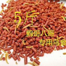 �W�^�B����Bʳ�˸���w�����b���fϲ�oɢ�b���˸����]���É�����