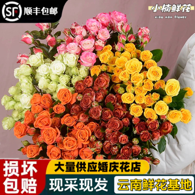 多头玫瑰鲜花鲜花云南基地顺丰直发鲜花水养家用办公室妇女节花束