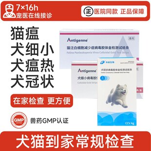 ����Ȯ��С�ڠ�ԇ�������ڠ���z�y���I��������؈���ɼ���