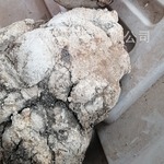 1公斤新货干品苦白蹄个子整个苦白蹄层孔菌阿里红落叶松茸