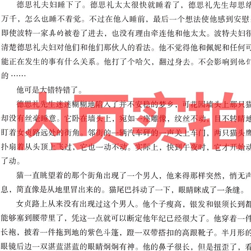 ハリー・ポッターと賢者の石 5 年生 中国語版 人民文学出版社 記念版 ハリー・ポッターの本|undefined