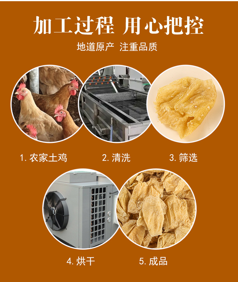 Ji Nei Jin (Gallus gallus domesticus) Dried Chicken Gizzard Lining — Food Herb for Soup & Tea preparation
