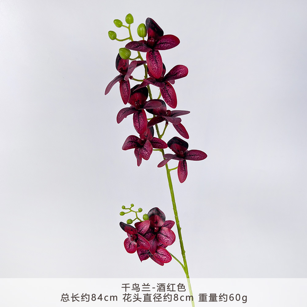 Ym2 - bird of paradise - burgundy