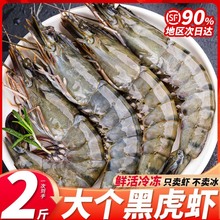 �ڻ��r�r���ك��������r���r�ϻ��r���r�ش�����r����Ź��r���r