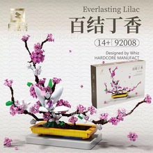 �羳������92008�ٽᶡ���ľ�� �����ָ߹������ƴ���������