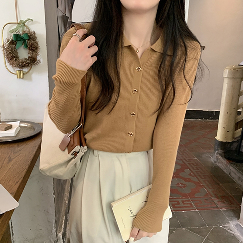 polo领内搭打底针织衫毛衣女开衫新款春秋高级感别致独特上衣|undefined