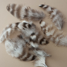 ���Sֱ�N�J����ë��ȻС��ë5-10cmҰ�uëdiy�Ʒ������b�o��