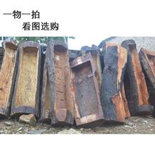 ����ľ����ľ�^���ܑ��₀���L���ݸ���ľ�i����ͥԺ�̨�Gֲ��