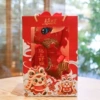 Red koi carp + good luck scarf + new year gift bag