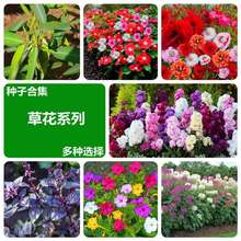 �ݻ��N����������������_���������N���ļ��_�����NͥԺ�҃�����