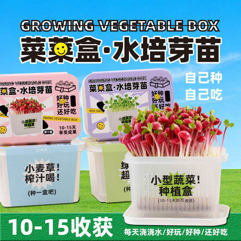 High-Quality Gift Hydroponic Plant Pots for Observing Sprouting Seedlings and Vegetable Growth, Soilless Cultivation High-Quality Gift Hydroponic Plant Pots for Observing Sprouting Seedlings and Vegetable Growth, Soilless Cultivation