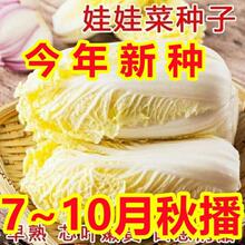 �·N�ļ��S�����޲˷N���S�����޲˷N�������ļ����N�߲�