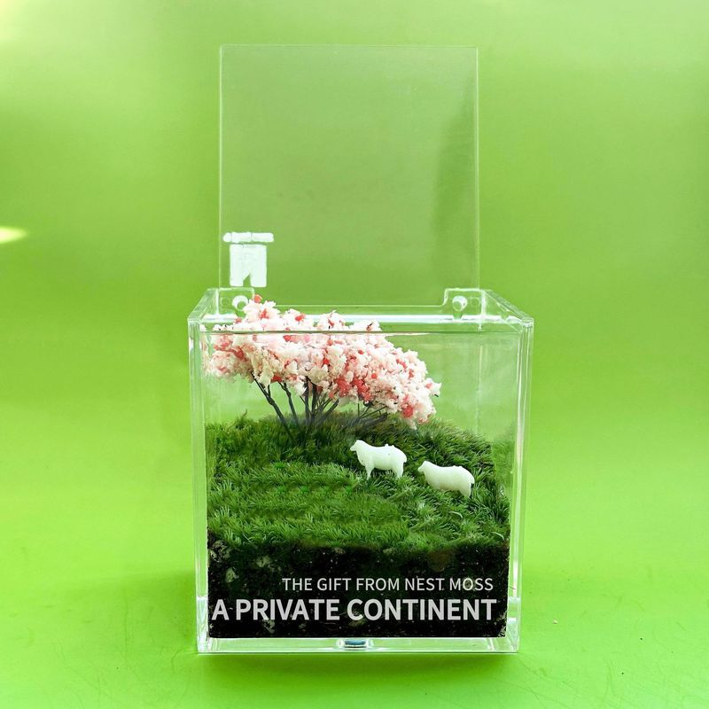 プライベート芝生苔マイクロ風景デスク植物鉢植え屋内クリエイティブグリーン植物怠惰なクリエイティブギフト卒業|undefined