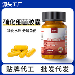 硝化細菌水槽用専用カプセル浄水剤顆粒生菌乾燥粉水質安定浄化水族魚用