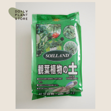 DOLV 豆绿 美植营养土 观叶植物多肉仙人掌 高温杀菌家居园艺用土