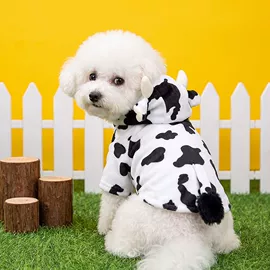 狗狗服装;猫猫包、箱;狗狗包、箱