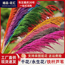 �����F�U���JȔ�ɻ��滨��ɫ�ɻ�����c������ꐼҾ��b͏d