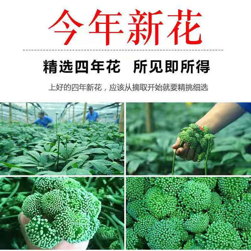 Panax Notoginseng Flower Tea San Qi Hua Dried TCM Herbal Tea 500g Loose Blooms for Daily Infusion overview