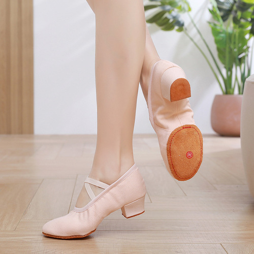 Lace-free body dance shoes for women with roots ballet soft bottom yoga belly dance adult teacher girls practice shoes