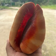 �S��ֱ�N��Ȼ����ؐ�����ݼҾӔ[�����к��b� �Ĵ����� �f����