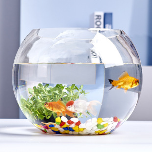 Office Desk Glass Fish Tank Goldfish Tank Aquarium Living Room Small Desktop Turtle Tank Transparent Round Home Landscape