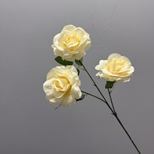 3�^���_��õ���c�Y�ò����b����ϲ廨��ˇ���滨�������üٻ�