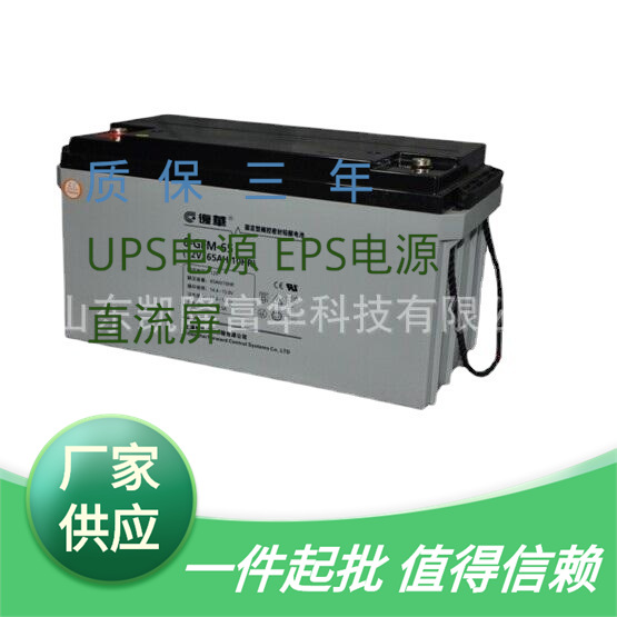 复华6-GFM-65阀控式密封铅酸免维护电池UPS后备电源12V6H蓄电池