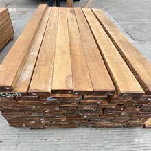 ������ľ�����ë�Ϸ� �|ݸ ���Դ� �ذ��Ʒ��ˇ�o����������