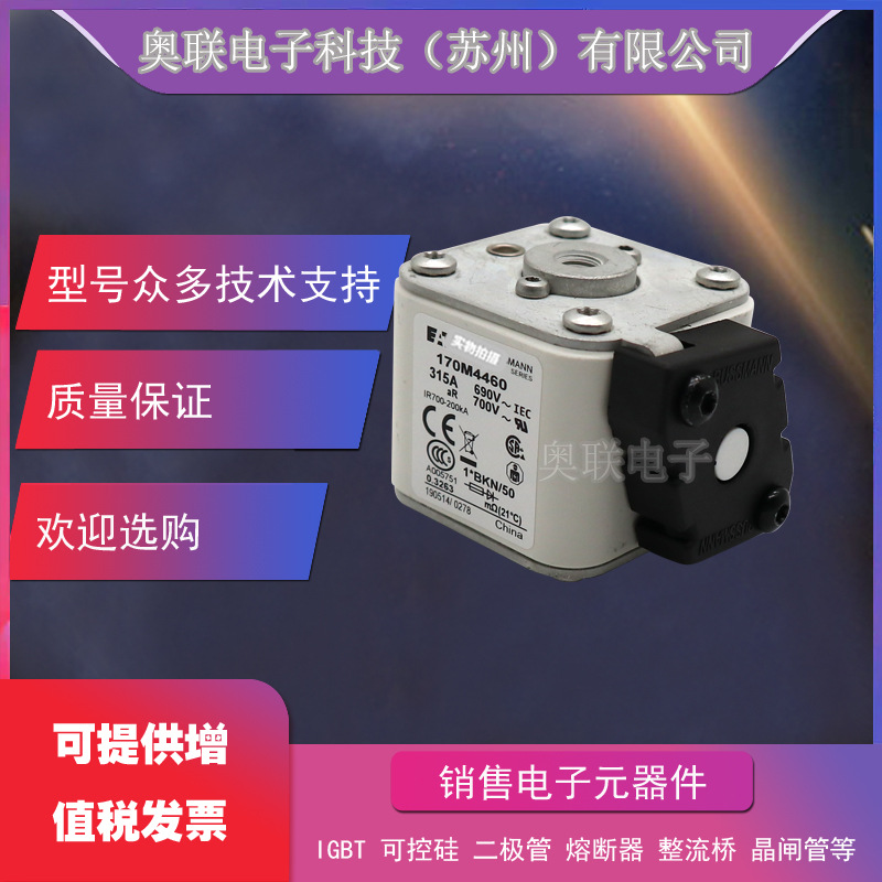 170M6245/6246/6247/6248/6249/6250/6251巴斯曼熔断器保险丝电容