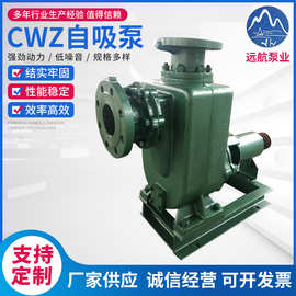 CWZ自吸泵 卧式自吸离心泵 救生艇用船用自吸式离心泵CWZ系列