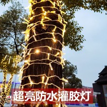 �羳���� �b����z������LEDС�ʟ��l�M���ǹ��������ڿڹ��z����