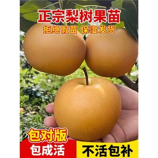 ��������������޽�ͥԺ�����ϱ��Nֲ�ش��͟��ͺ�����Y������