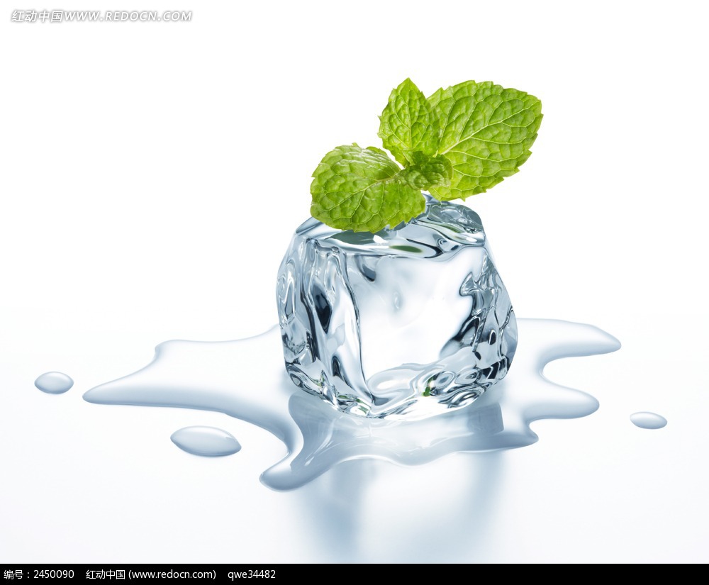 薄荷香精 食品级/日化级 液体 粉末