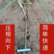 栽葱神器红薯地瓜苗专用农具大葱插苗器插葱苗葱叉子种植移植工具