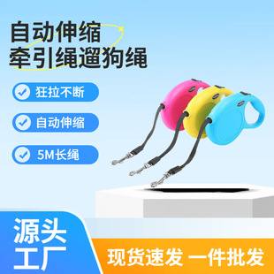 Traction Rope 5m Pet Dog Automatic Retractable Traction Rope Teddy Corgi Outdoor Dog Leash Dog Leash