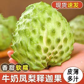 西式糕点;饼干;方便面类