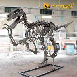 热销犹他盗龙骨骼 景区餐厅橱窗装饰 仿真恐龙骨架化石模型