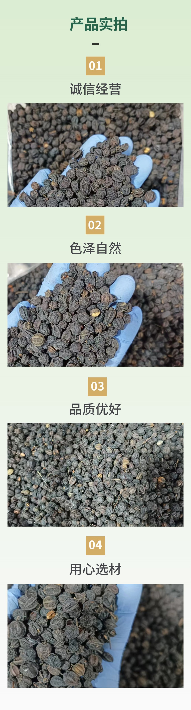 Dried Acanthopanax Senticosus Seeds Ci Wu Jia Zi Herbal Tea Ingredient 500g specifications